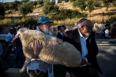 محافظة القدس تحذّر من محاولات مستوطنين إدخال القرابين إلى الأقصى