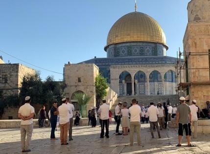 222 مستعمرا يقتحمون المسجد الأقصى