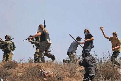 إصابة شاب باعتداء مستوطنين عليه في الأغوار الشمالية 