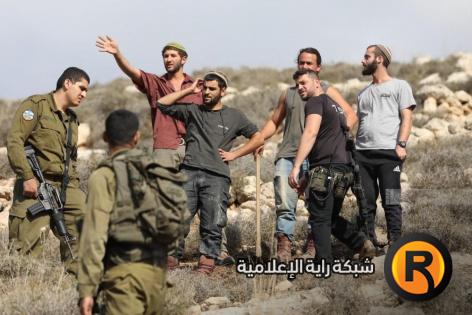 سرقة عشرات رؤوس الأغنام