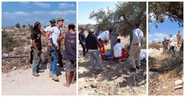 مستوطنون يهاجمون قاطفي الزيتون ويسرقون معداتهم في قصرة