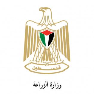 الزراعة تؤكد رفضها القاطع للادعاءات الإسرائيلية بشأن تلوث الخضروات الفلسطينية المصدّرة ببقايا مبيدات
