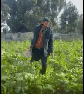 خاص| بين الدمار والأمل… مزارع غزي يعيد الحياة لأرضه