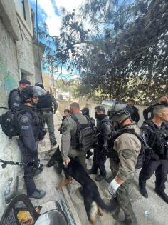 محافظة القدس: الاحتلال يواصل جرائم القتل والإخلاء القسري بالقدس في إطار حرب شاملة وخرق فاضح للقانون الدولي