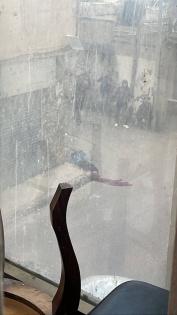 عقب تشييع الشهيد حمد