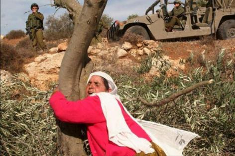 شؤون المرأة: في يوم الأرض تتجذر المرأة الفلسطينية كأرضها صامدة وحارسة للهوية والوجود