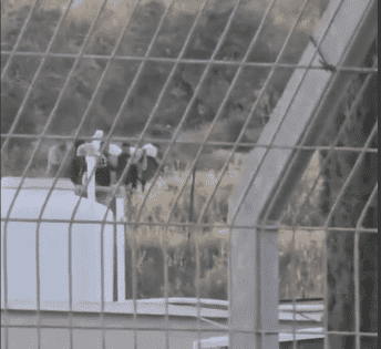الأمم المتحدة: نبش إسرائيل أحد القبور في جنين مروع ويجسد نزع الإنسانية عن الفلسطينيين