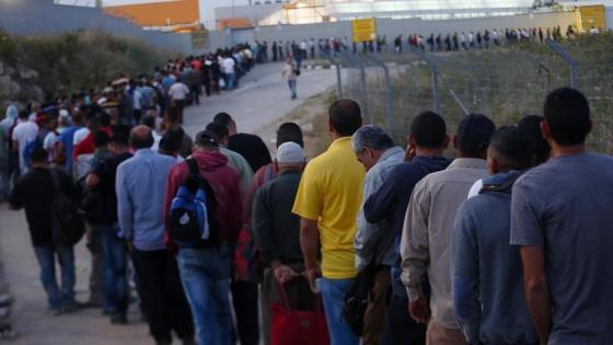 بدارنة لراية: إسرائيل فشلت في إيجاد بديل حقيقي للعمال الفلسطينيين