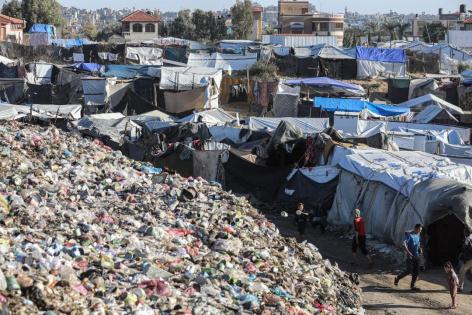 في يوم البيئة العالمي: وزارة شؤون المرأة تستعرض واقع النساء الفلسطينيات في مواجهة التدهور البيئي