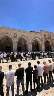 صور | 65 ألفا يؤدون الجمعة في المسجد الأقصى