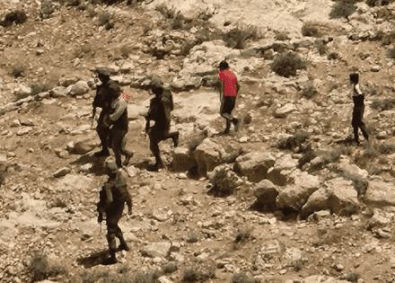 الخليل: مستوطنون يهاجمون خربة 