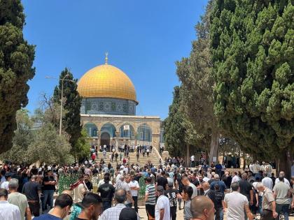 رغم قيود وعراقيل الاحتلال