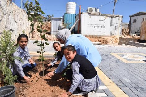 في 40 موقعاً من الخليل إلى طوباس.. 
