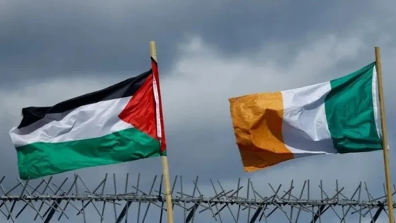 أيرلندا تقود تحركًا أوروبيًا لتوسيع العقوبات على إسرائيل وحظر بضائع المستوطنات
