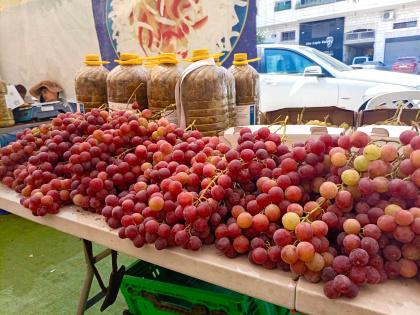 خاص | مهرجان العنب في طولكرم يجمع منتجات متنوعة من عدة محافظات