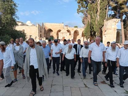 حاملين 