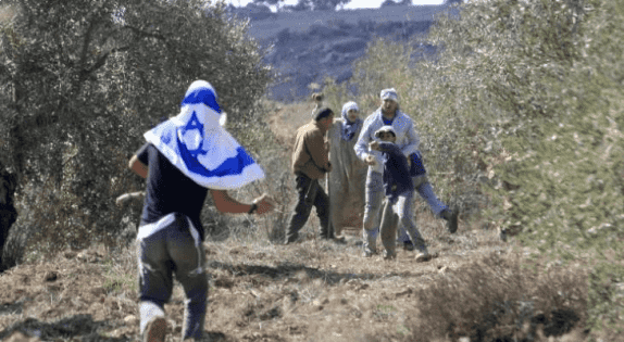 المغير محاصرة بـ 11 بؤرة.. وموسم الزيتون تحت مقصلة الاحتلال والاستيطان