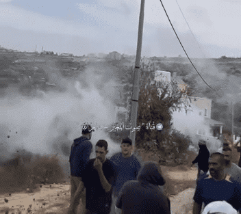 مستوطنون يستولون على مركبة ويسرقون زيتون ومعدات زراعية في عين يبرود