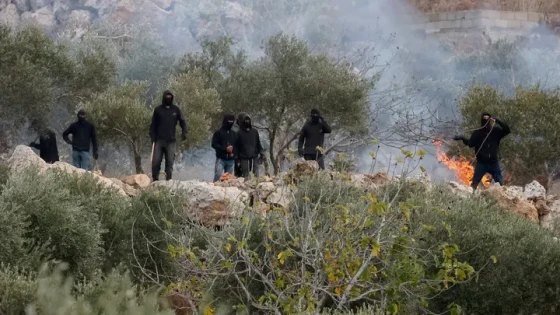 خاص | كيف يحاول المزارعون الفلسطينيون إنقاذ موسم الزيتون؟