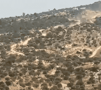 إصابات بالاختناق جراء هجوم للمستوطينن على مواطنين ونشطاء أجانب في بيت عور التحتا