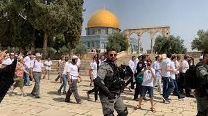 1059 مستوطنًا اقتحموا المسجد الأقصى خلال أسبوع