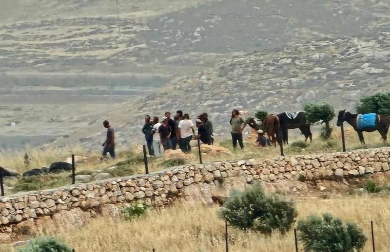 إصابة 4 مواطنين واقتلاع 60 شجرة في هجوم للمستوطنين جنوب الخليل