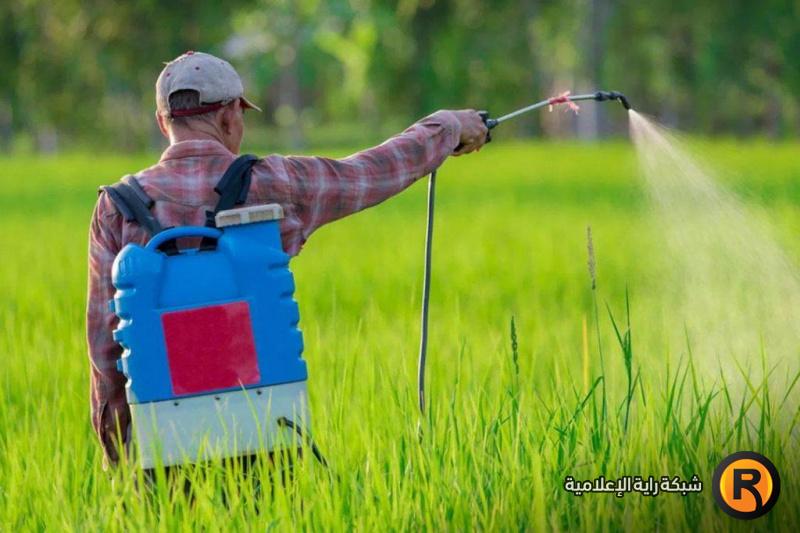 علماء: حتى جرعة بسيطة من المبيدات الحيوانية يمكن أن تسبب وفاة الإنسان