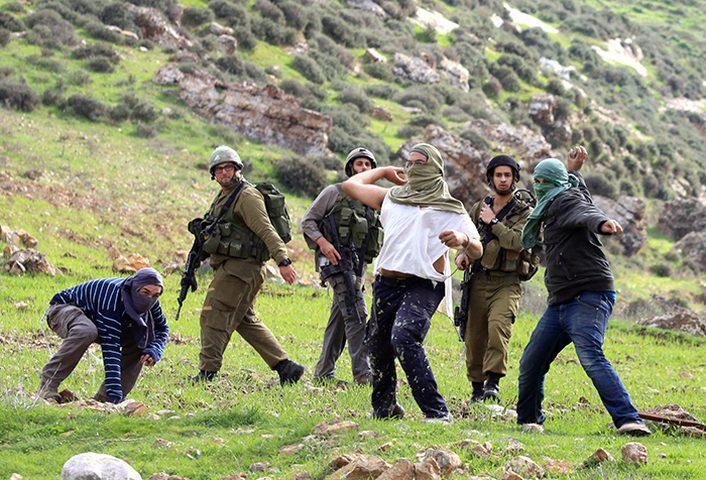 مستوطنون يعتدون على قاطفي الزيتون في جالود ويسرقون الثمار