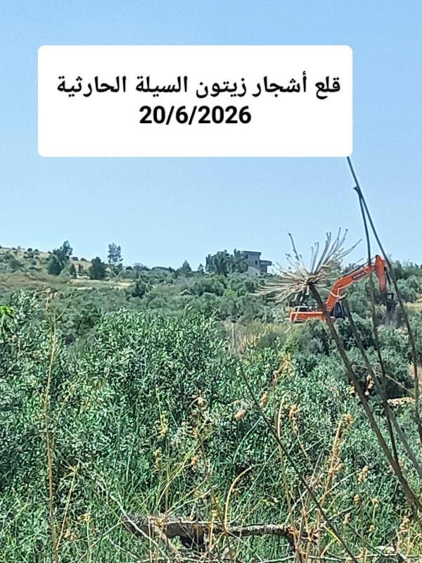توثيق سجلات وزارة الزراعة لانتهاكات الاحتلال بحق القطاع الزراعي