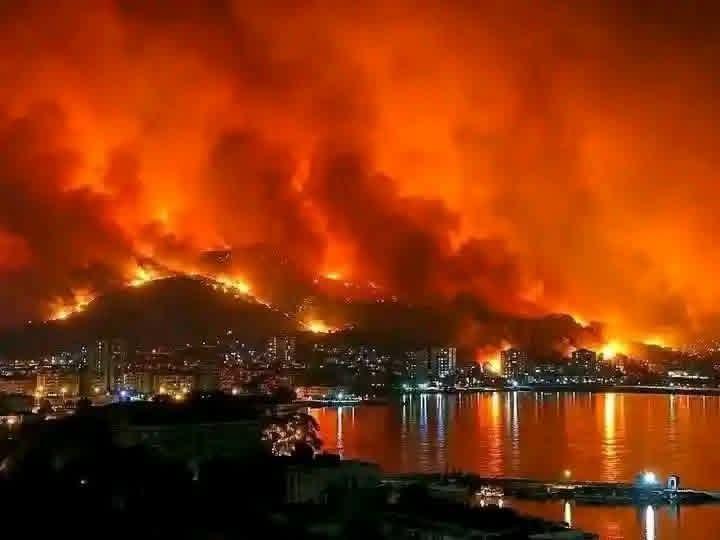 حصيلة حرائق الجزائر الحرجية: 100 مصاب و150 منزلا مدمرا