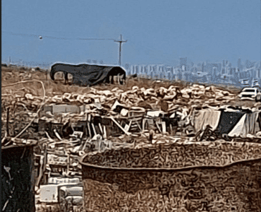 الرابعة التي يتم إنشاؤها اليوم: مستوطنون يقيمون بؤرة استيطانية جديدة غرب دير بلوط