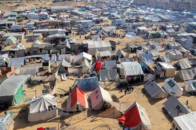 خاص | حرب القوارض والأوبئة تلاحق نازحي غزة وسط تفاقم الكارثة