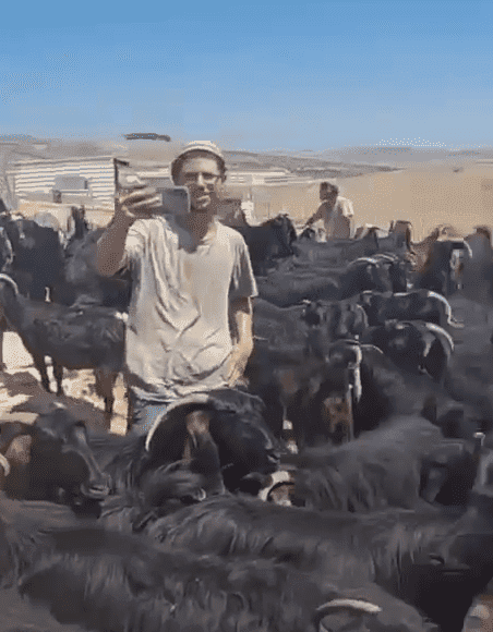 مستوطنون يهاجمون مجددا تجمع الكعابنة شرق الطيبة برام الله