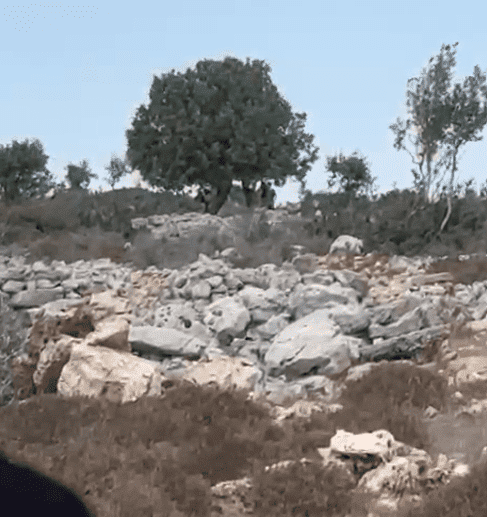 مستوطنون يشرعون بإقامة خيمة في منطقة الظهور شمال غرب سلفيت