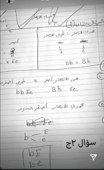 اجابات امتحان الاحياء توجيهي فلسطين 2025