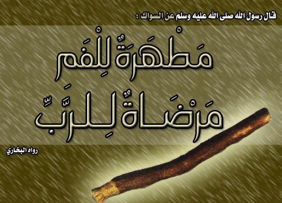 شبكة راية الإعلامية ما هي فوائد السواك